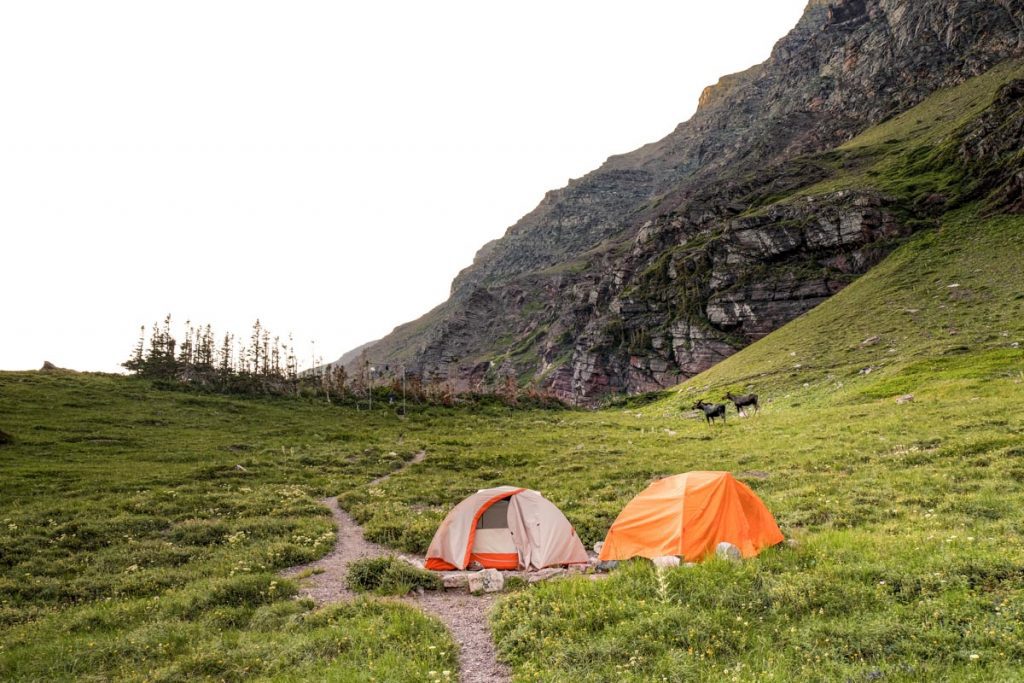 Camping in Glacier National Park