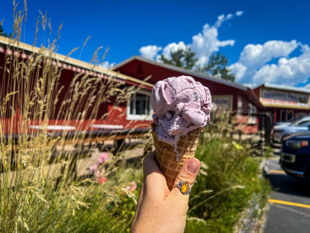 Huckleberry ice cream Glacier National Park