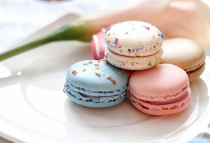 Lady Yum Macaroons Things to do in Seattle