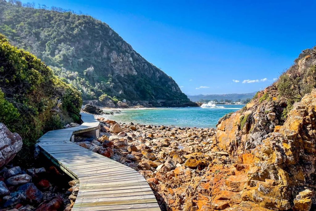 Featherbed Nature Reserve Knysna Garden Route