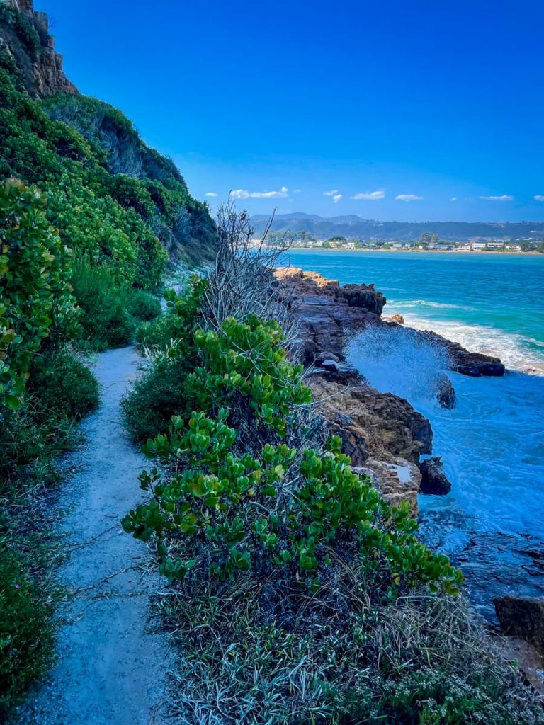 Featherbed Nature Reserve Knysna Garden Route