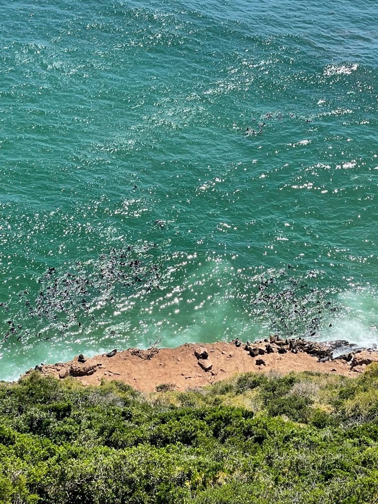 Robberg Peninsula Hike Plettenberg Bay