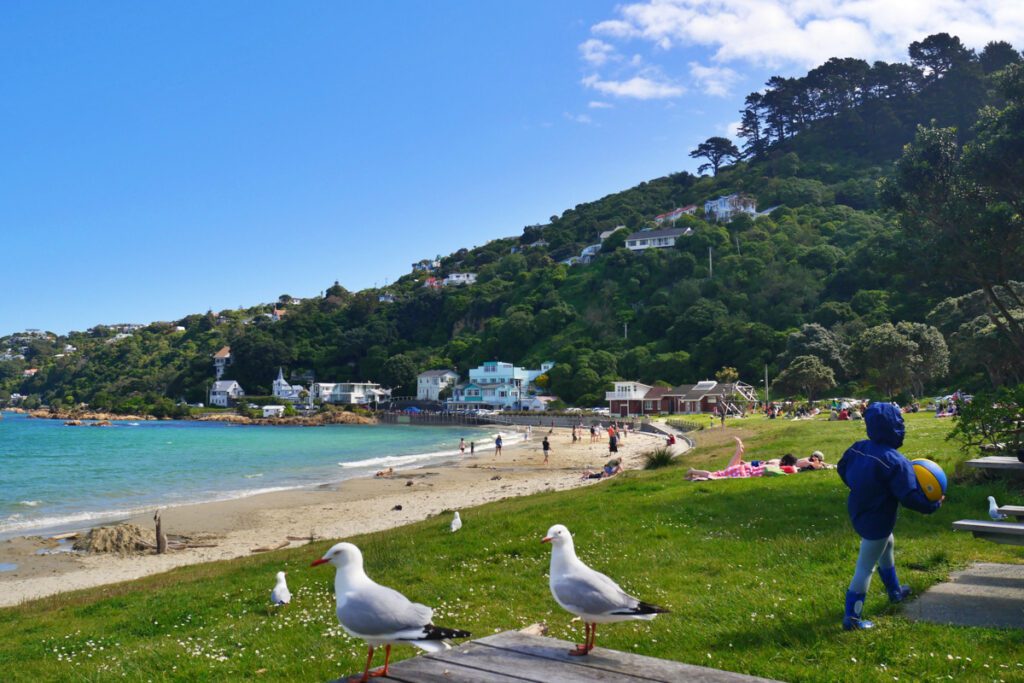 Scorching Bay Wellington_STOCK-U (Suzi Kim)