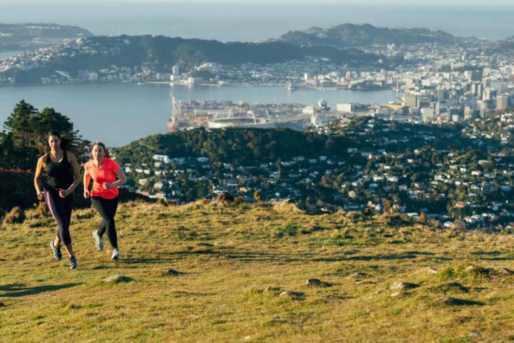 Skyline Walkway (WellingtonNZ)