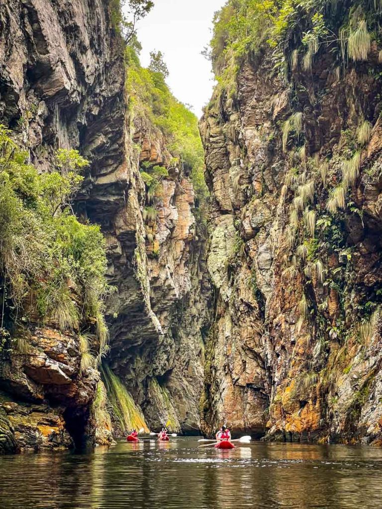 Kayaking Storms River Mouth Tsitsikamma National Park