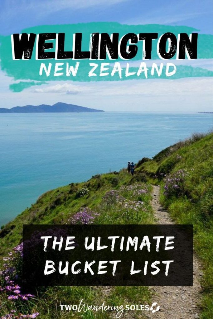 Things to Do in Wellington | Two Wandering Soles