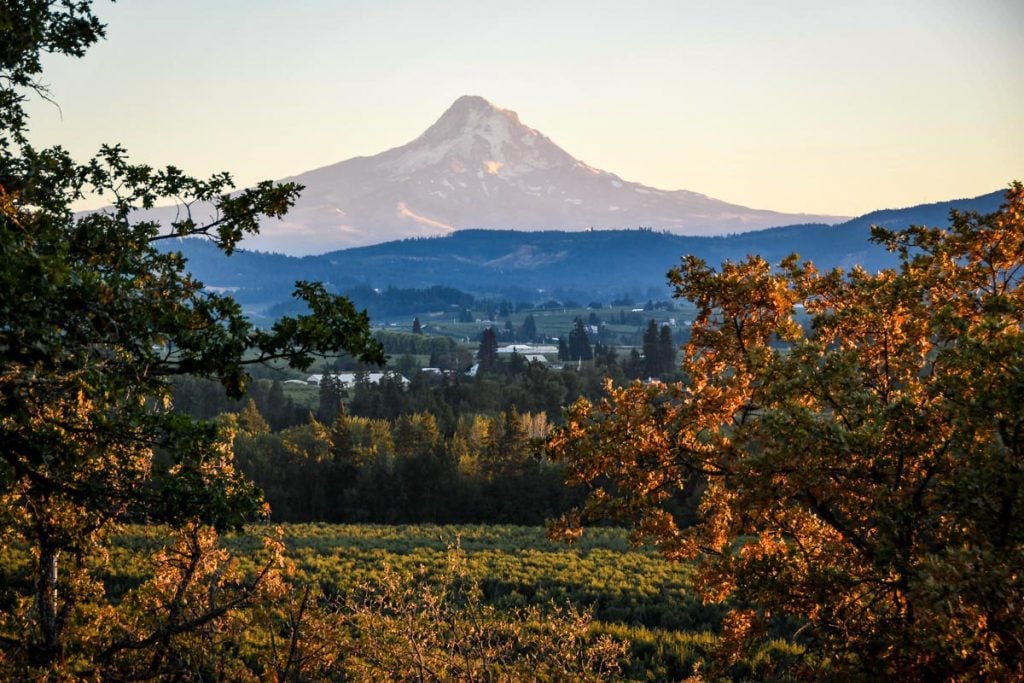 Hood River Oregon Panorama