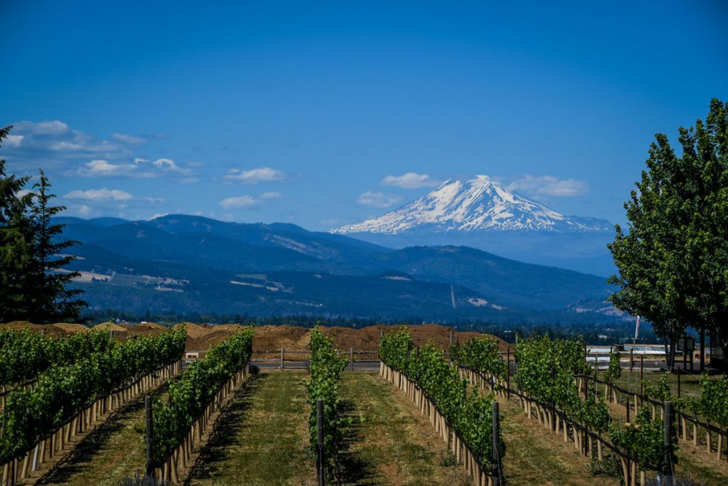 Hood River wineries Oregon
