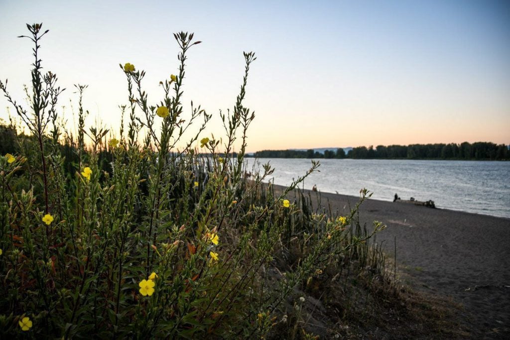 Sauvie Island Oregon