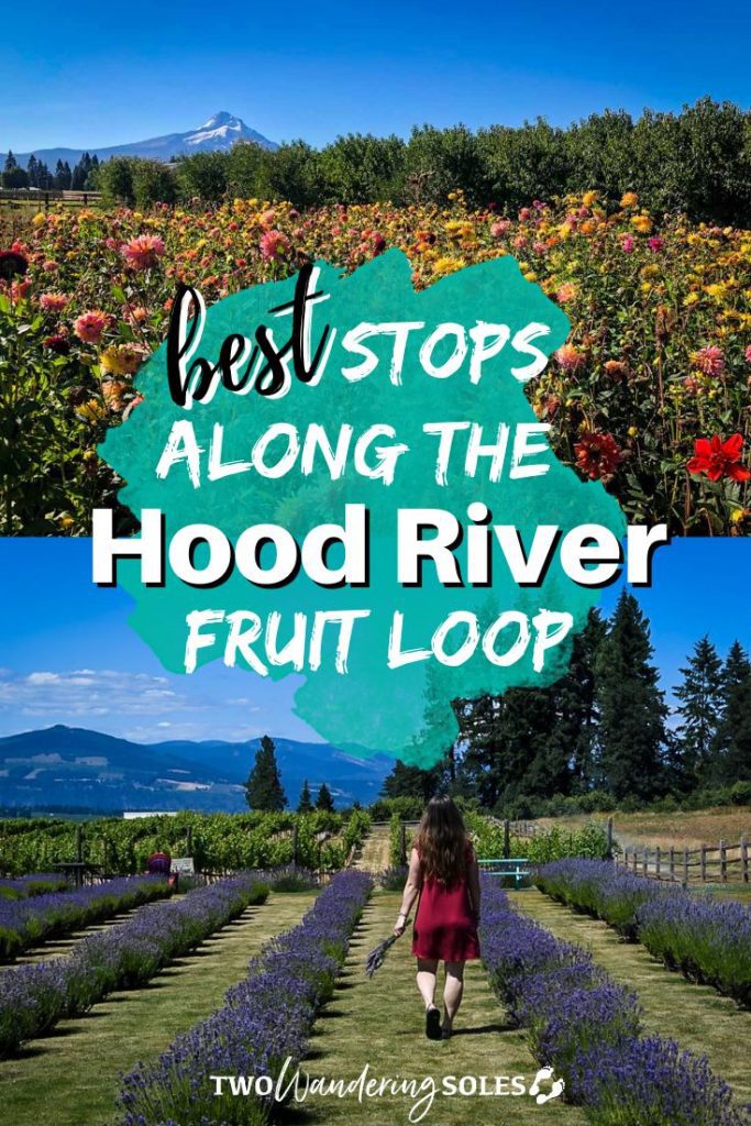 Hood River Fruit Loop | Two Wandering Soles