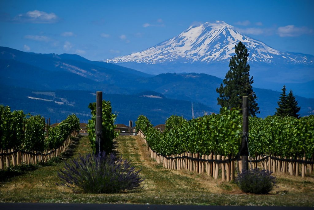 Hood River Wineries Oregon (1)