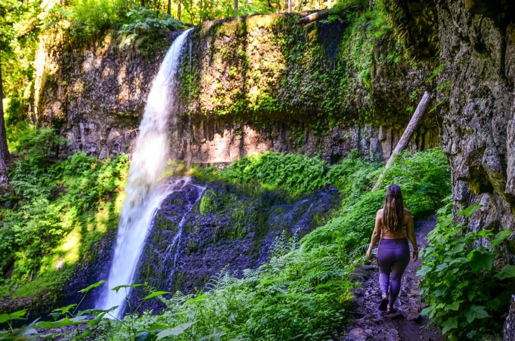 Trail of Ten Falls Silver Falls State Park Oregon