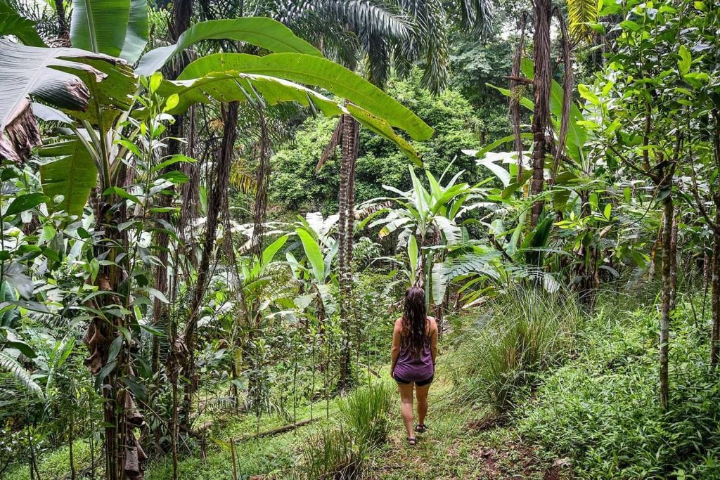 Hiking in Costa Rica