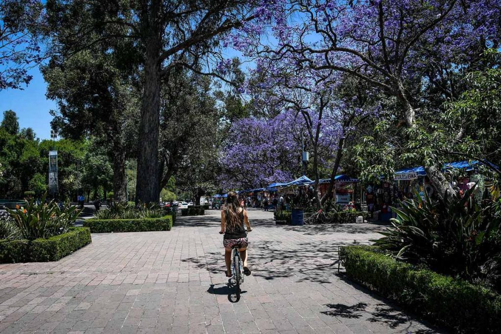 Bike around Mexico City