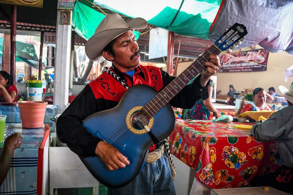 Mariachi guitar player Mexico City