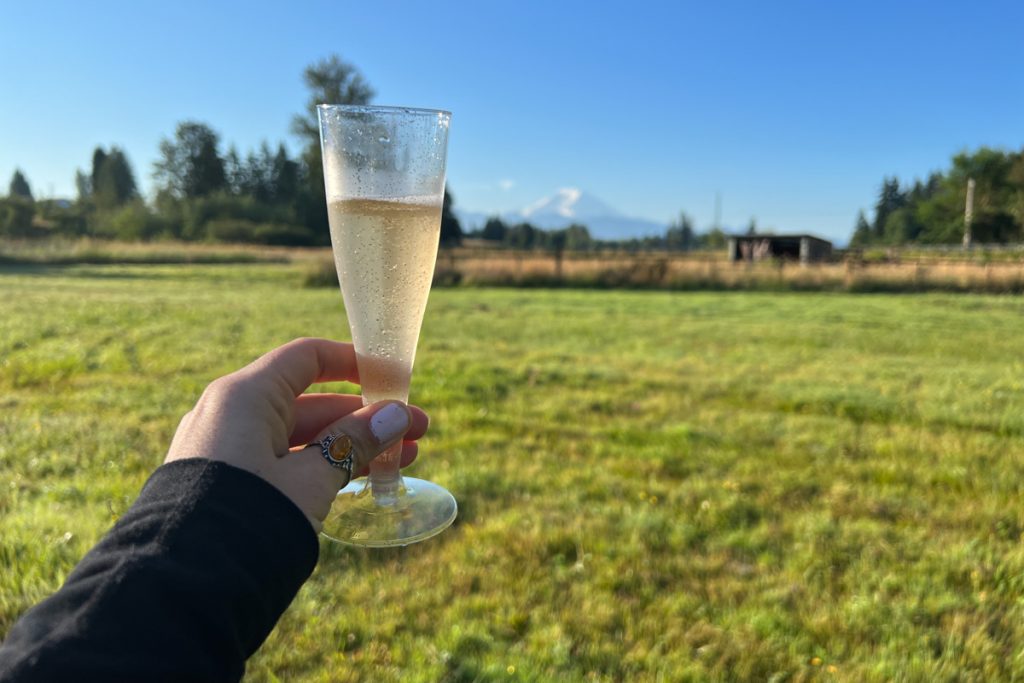 Seattle hot air balloon | post-flight celebration