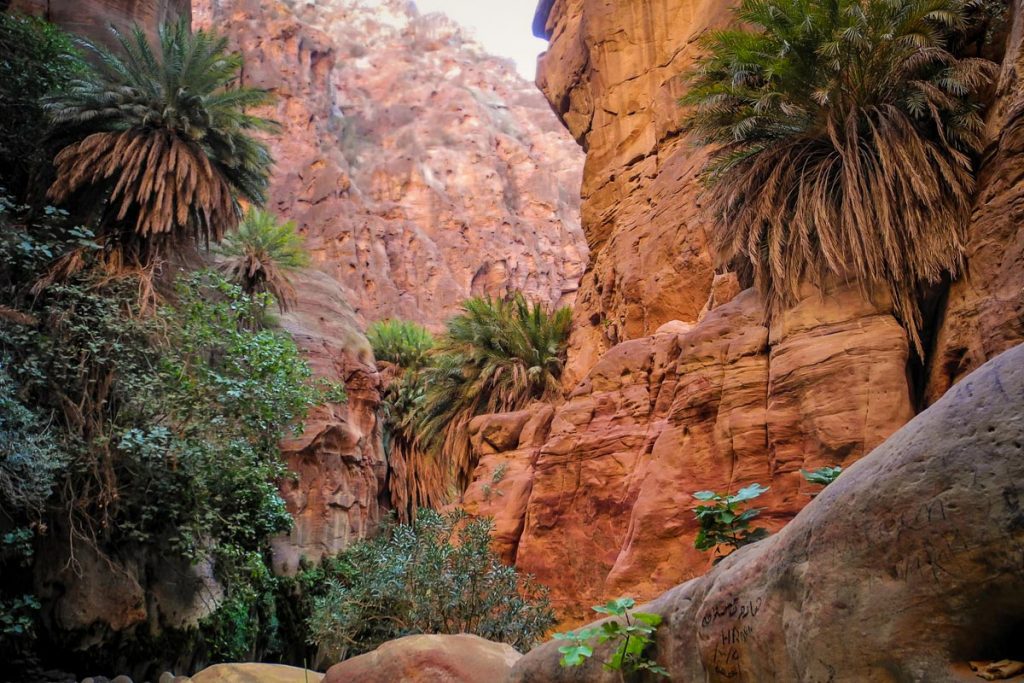 Wadi Ghuweir Trail (Hiking in Jordan Website and Guidebook)