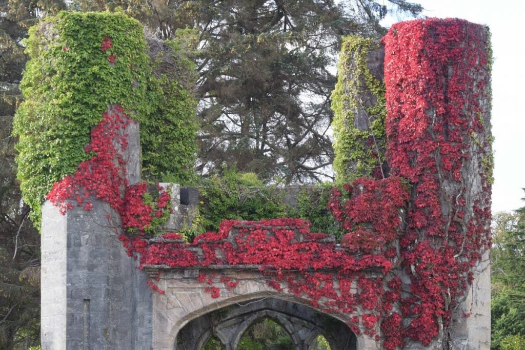 Armadale Castle Isle of Skye_STOCK-U 2