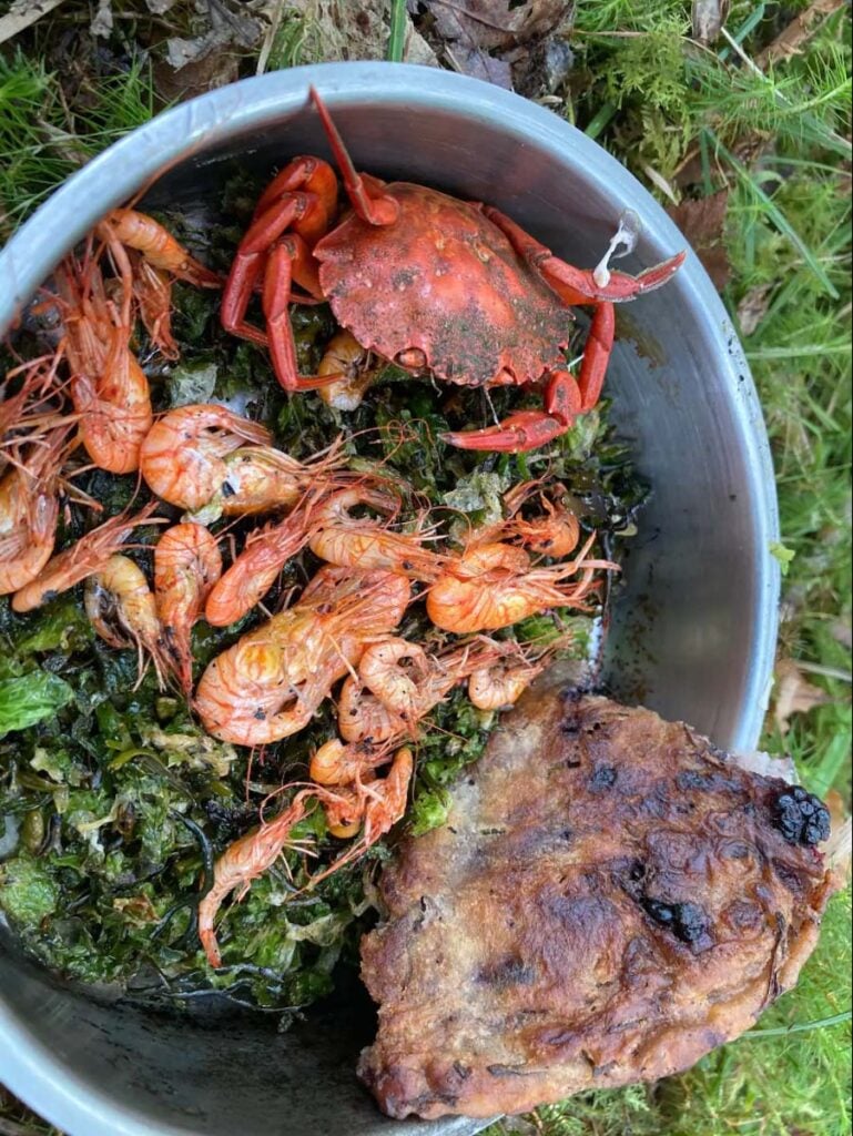 West Coast Canoe Foraging Scotland Airbnb Experience