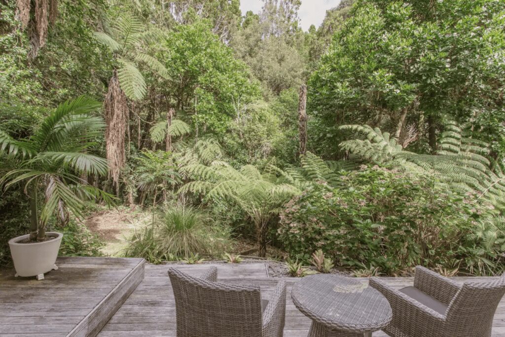 Airbnbs in Auckland | A Private Retreat