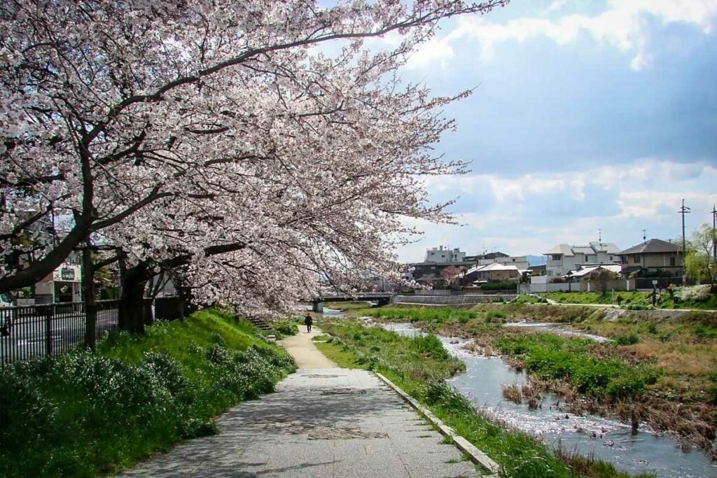 Bike tour of Kyoto Japan (Airbnb)