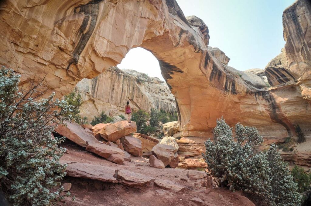 Hickman Bridge Capitol Reef