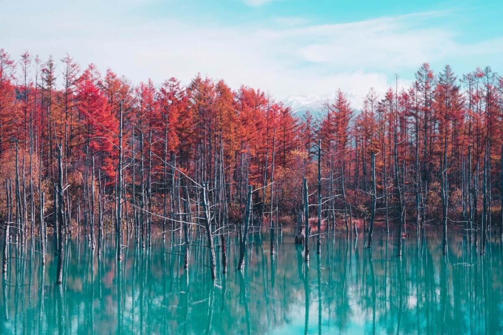 Hokkaido Blue Pond Japan_STOCK-U