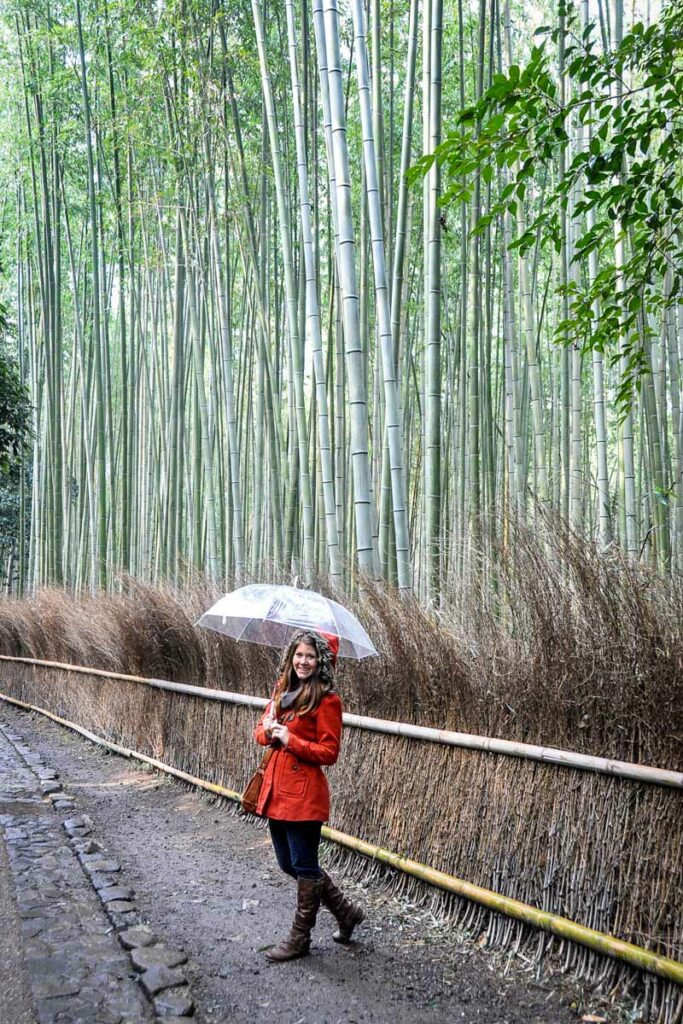 Arashiyama Bamboo Forest near Kyoto Japan