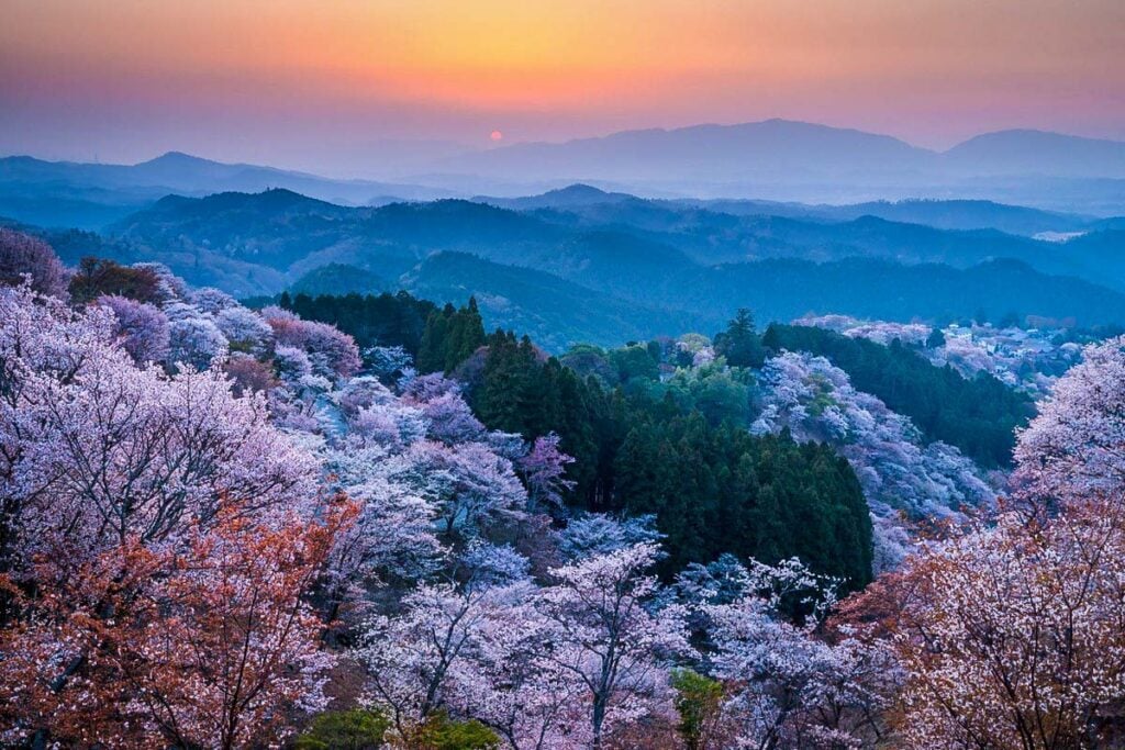 Mount Yoshino (Fun! Japan)