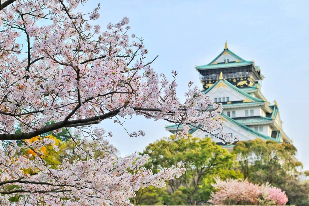 Osaka Castle cherry blossoms Japan_STOCK-Pex