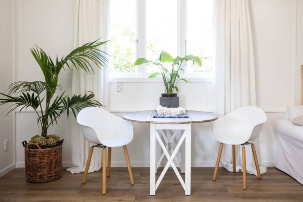 Airbnbs in Auckland | Palm studio