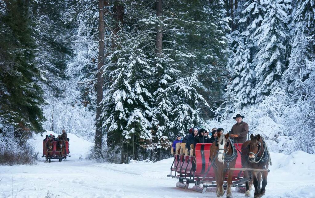 Things to do in Leavenworth, WA Sleigh Ride