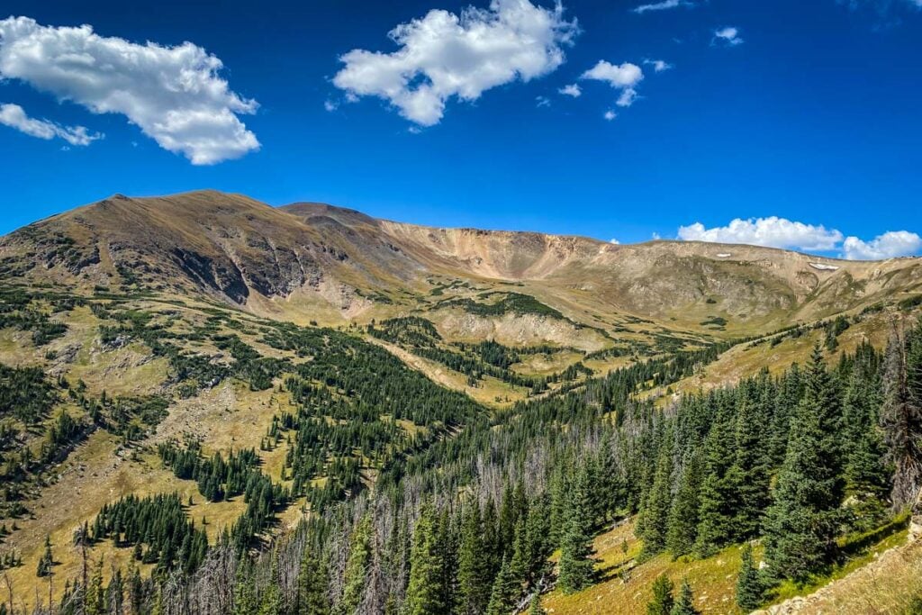 Alpine Tundra