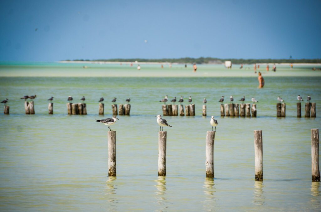 Isla Holbox Mexico