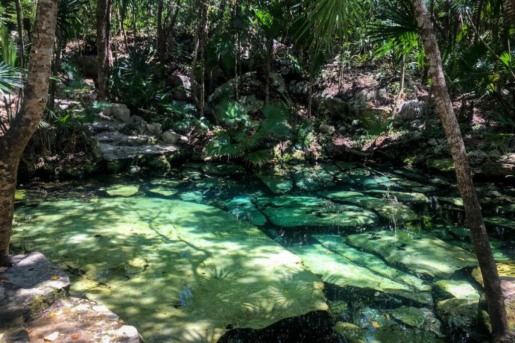 cenote azul tours & travel opiniones
