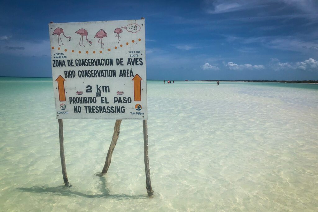 flamingos sign Isla Holbox Mexico