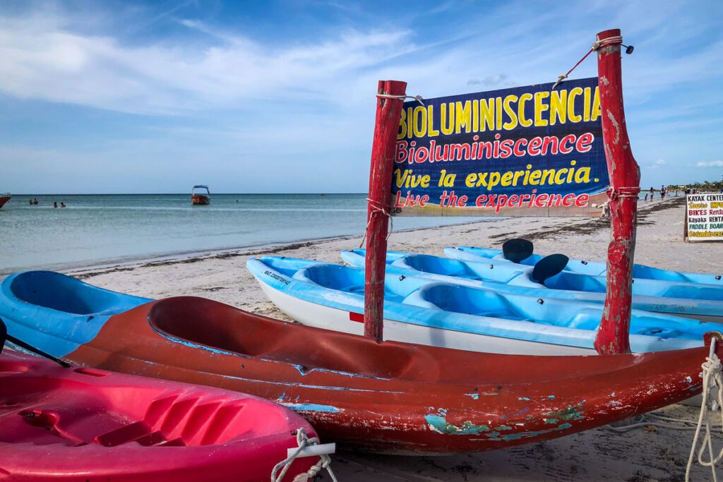 bioluminescent tours Isla Holbox Mexico