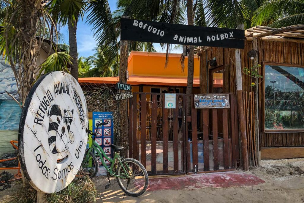 Animal rescue center on Isla Holbox