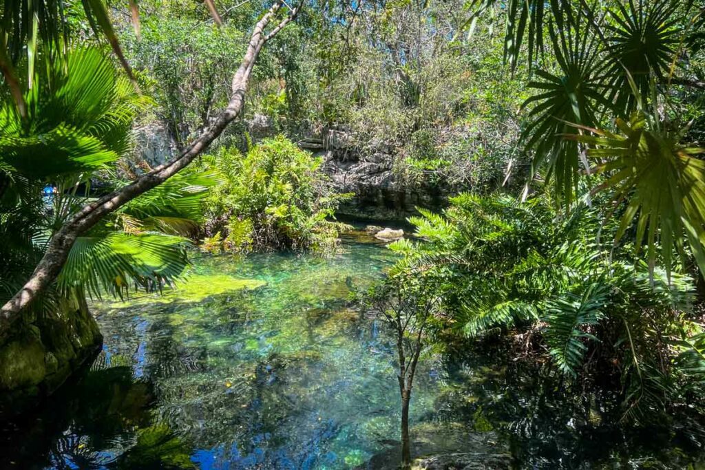 Cenote Azul Mexico