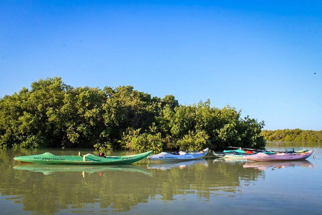 Kayak tour Isla Holbox Mexico (GYG)