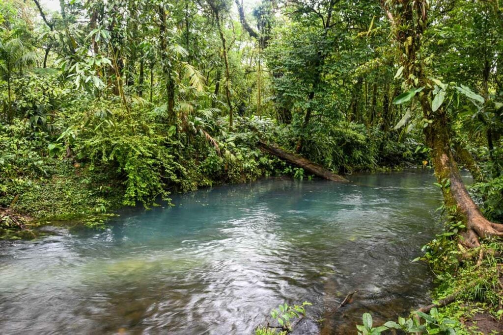 Rio Celeste Costa Rica