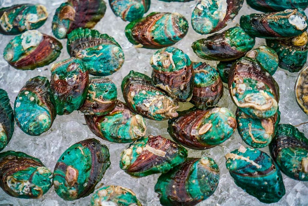 Green-lipped mussels New Zealand Food