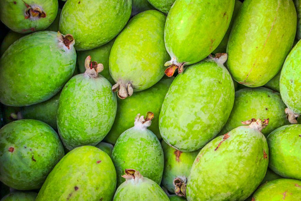 Feijoa New Zealand Food