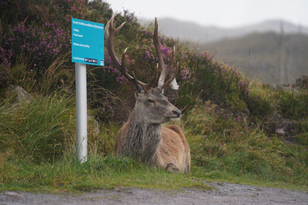 north west scotland road trip