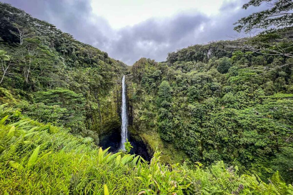 Akaka Falls State Park Hawai'i Island