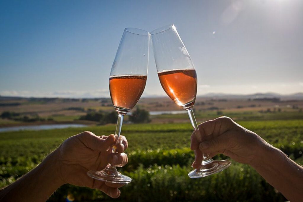 Cape Town full day winelands tour (GYG)
