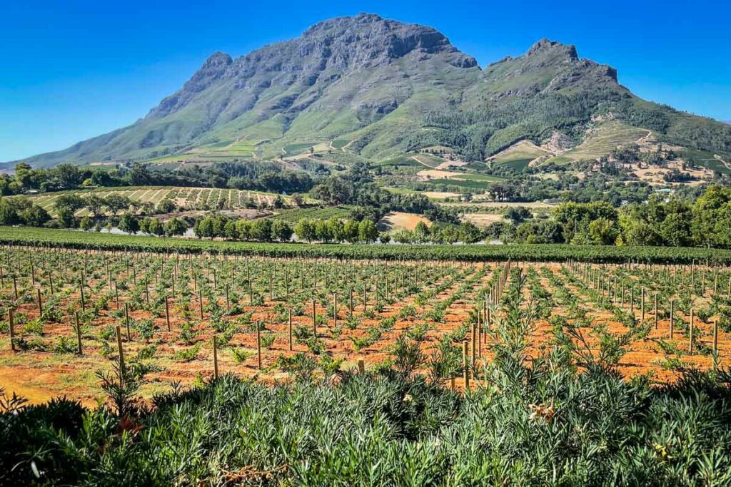 Delair Graff wine farm in Stellenbosch