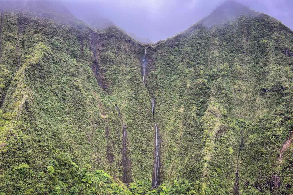 Halele'a Forest Reserve Kauai Hawaii