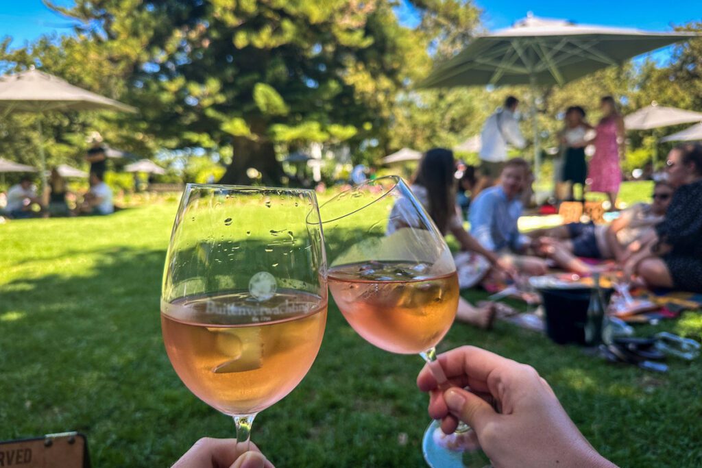 Wine farms in Stellenbosch