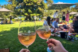 Wine farms in Stellenbosch